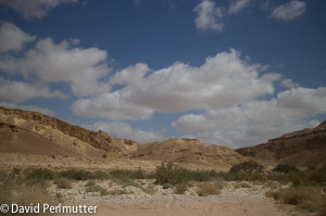 Nabatean Incense Route