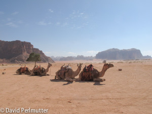 wadi rum 3